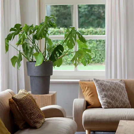 Holiday home Stylish In With Terrace *