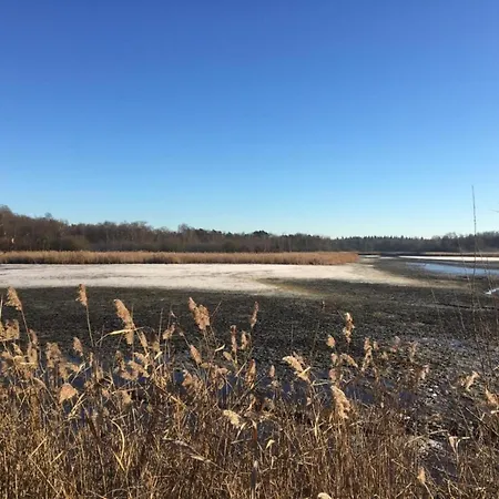 Next To A Nature Reserve * Leende