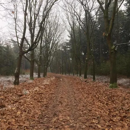 Next To A Nature Reserve Leende