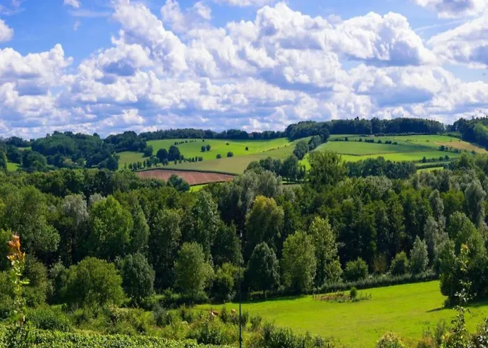 Next To A Nature Reserve