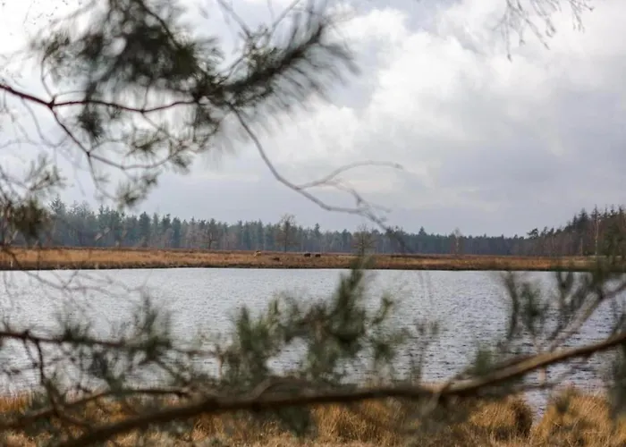 Next To A Nature Reserve *