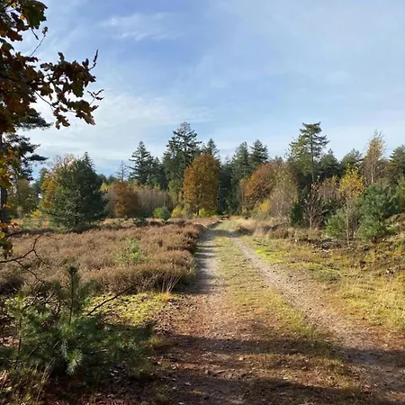 Next To A Nature Reserve