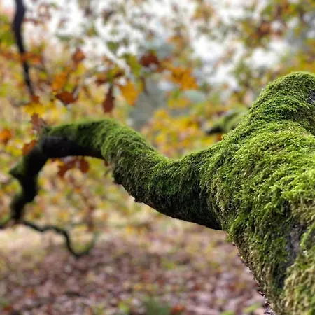 Next To A Nature Reserve Vakantiehuis