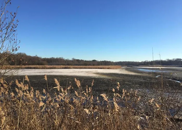 Next To A Nature Reserve * Leende