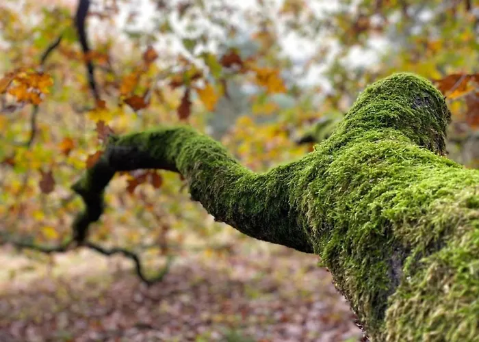 Next To A Nature Reserve Σπίτι διακοπών