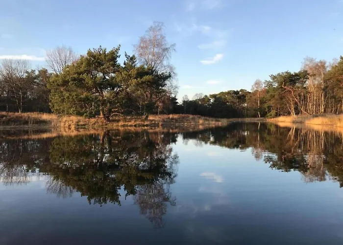 Next To A Nature Reserve *