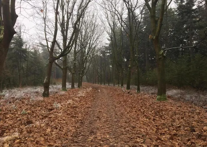 Next To A Nature Reserve Leende